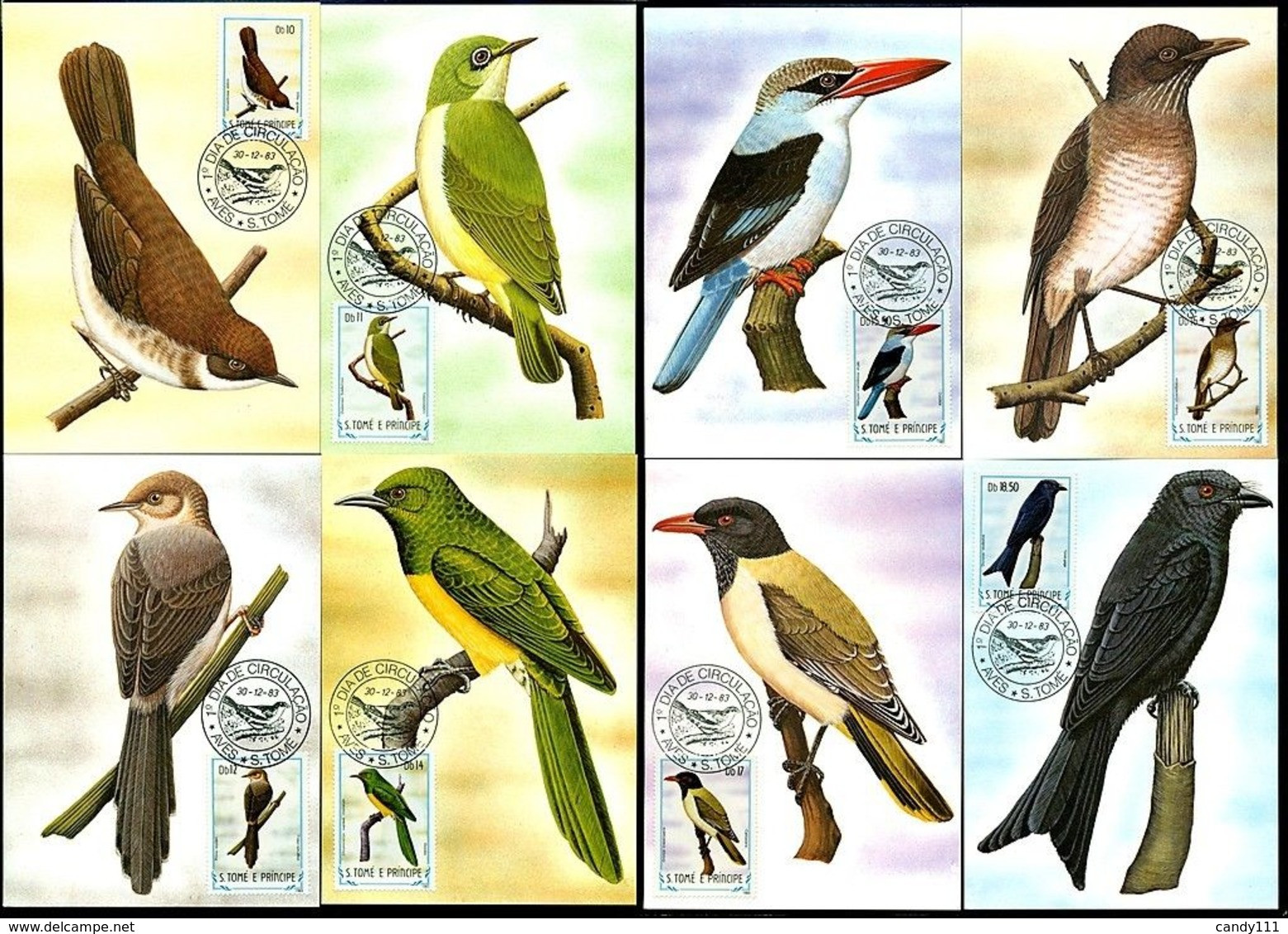 1983 Sao Tome Bird,Vögel,Oiseau,Aves,Ucelli,Owl,Cuckoo,Dove,Oriole,21 Maxi Cards - Cuco, Cuclillos