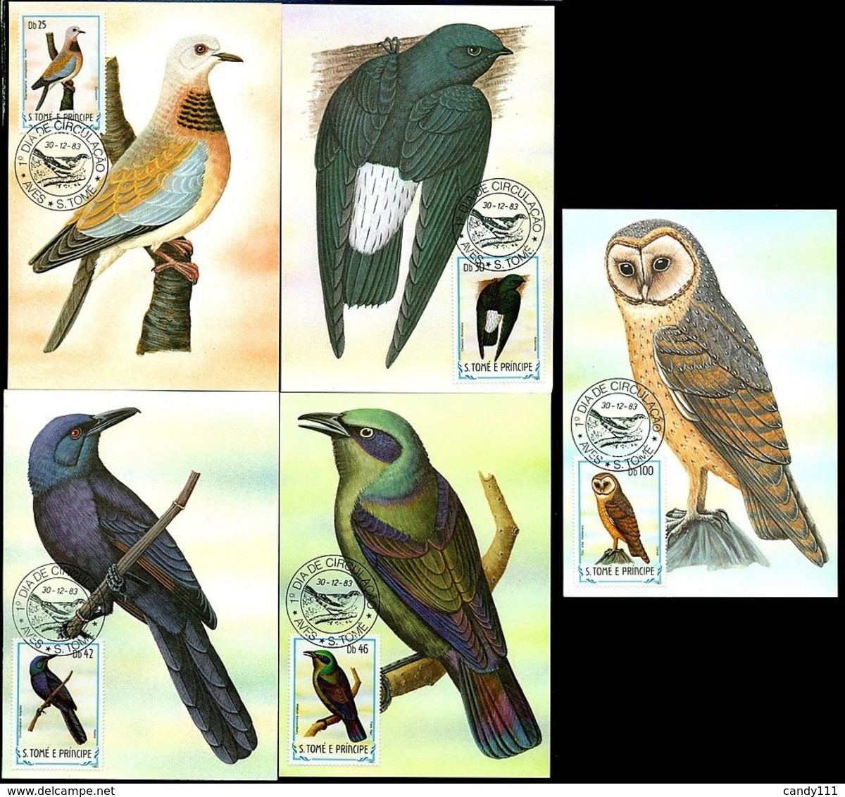 1983 Sao Tome Bird,Vögel,Oiseau,Aves,Ucelli,Owl,Cuckoo,Dove,Oriole,21 Maxi Cards - Cuculi, Turaco