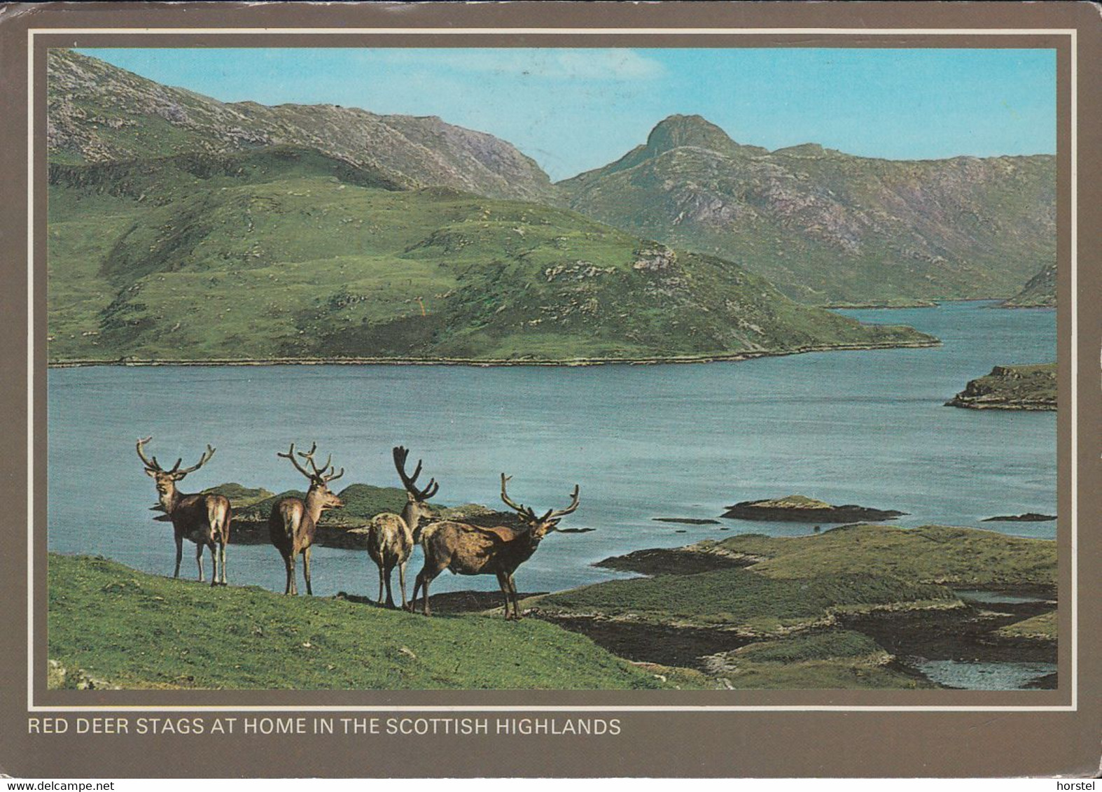 UK - Dundee - Red Deer Stags At Home In The Scottisch Highlands - Nice Stamp - Angus