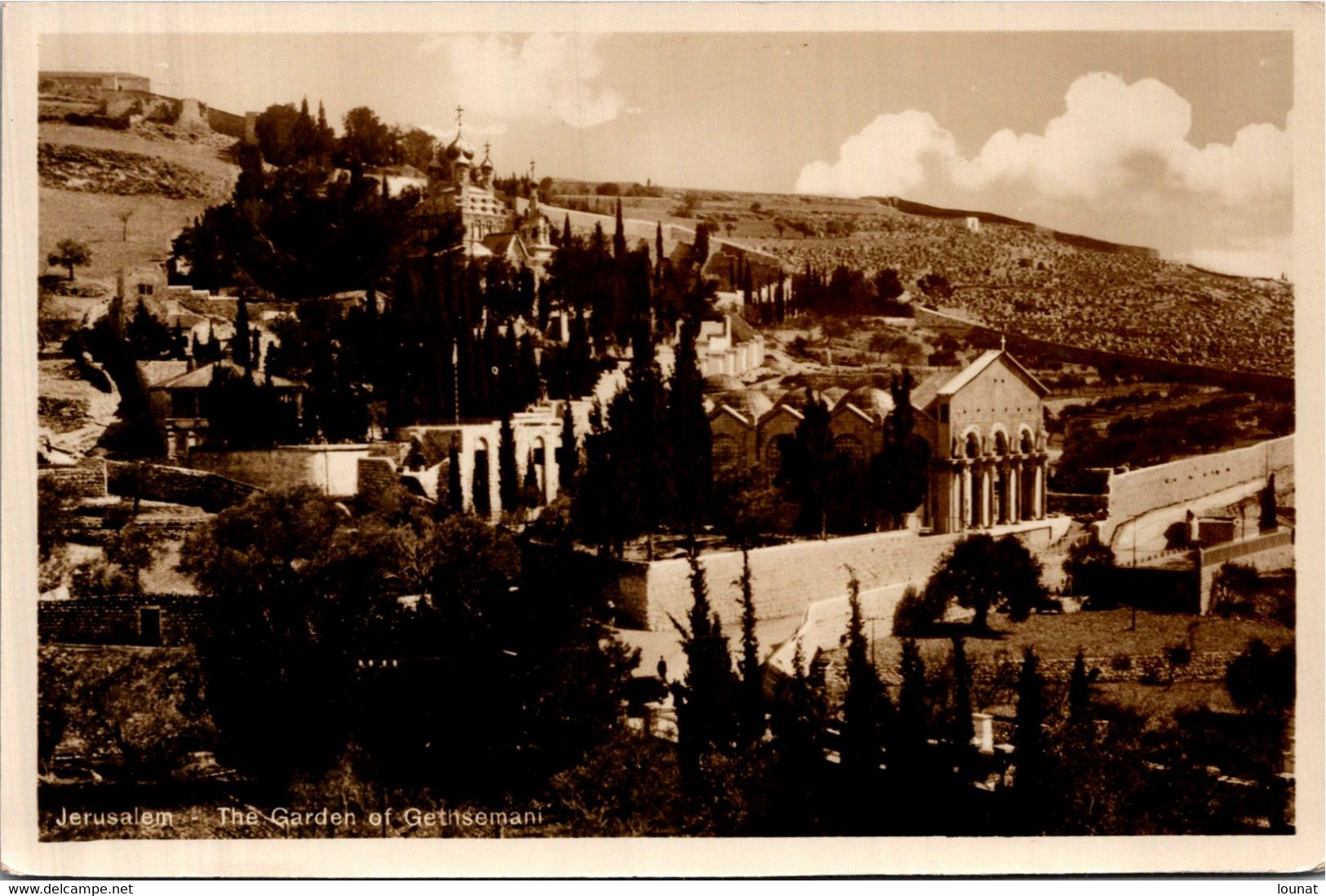 ISRAEL - Jerusalem - The Garden Of Getitsemani - Palästina