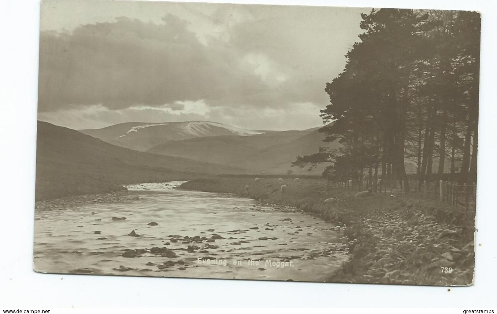 Postcard Scotland Selkirk Evening On The Meggat. Unused Rp - Selkirkshire