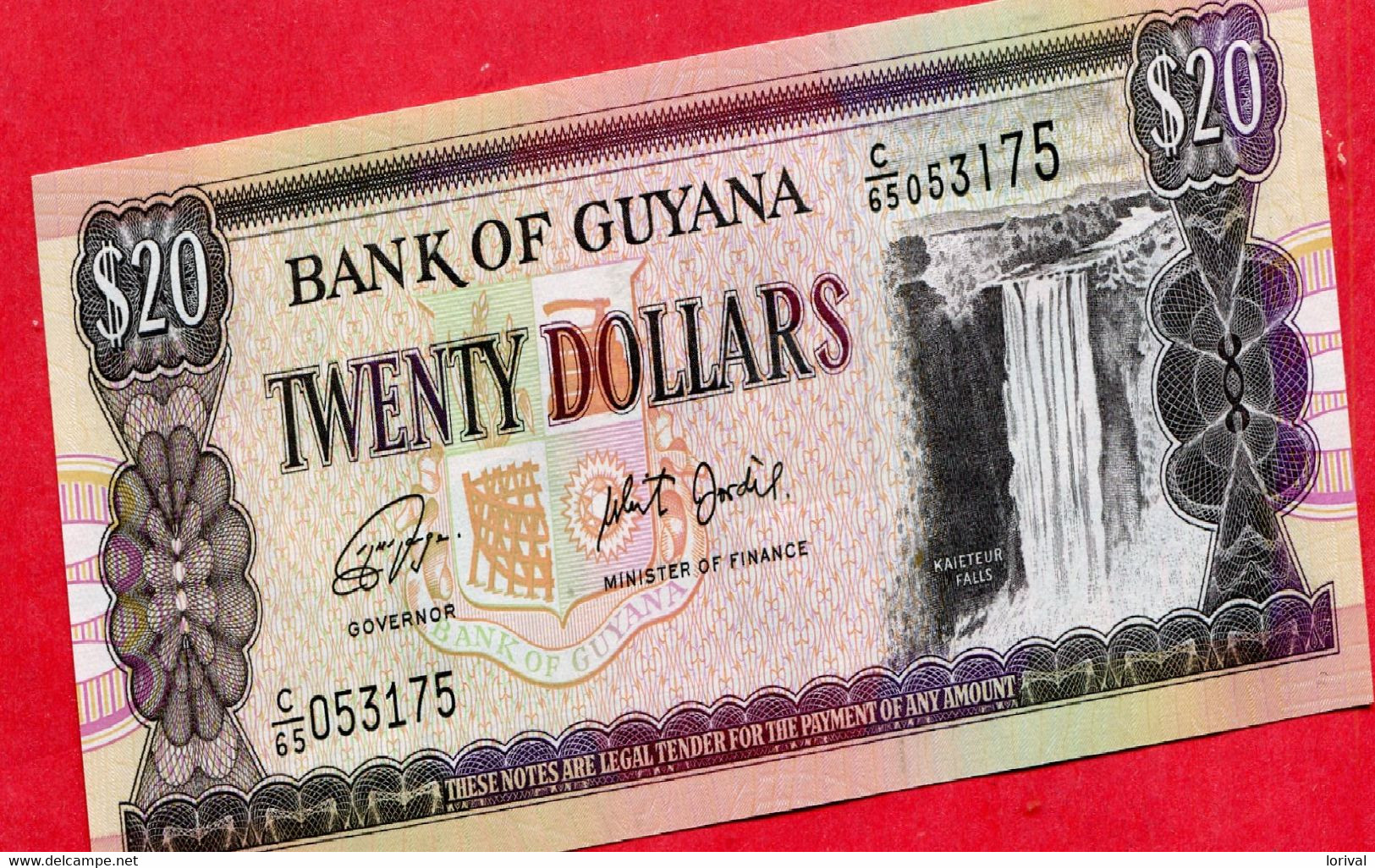 Guyane 20 Dollars Neuf 5 Euros - Guyana