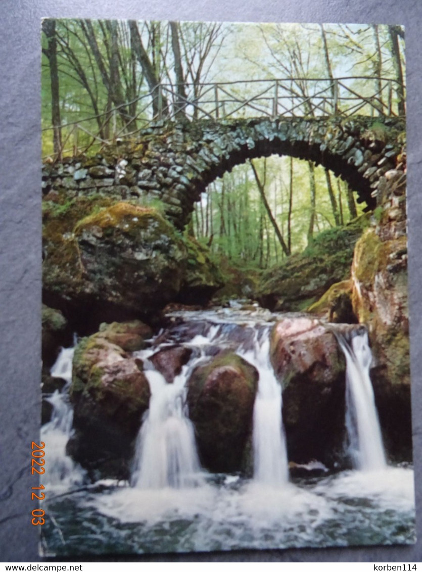 LA PITTORESQUE CASCADE DU SCHIESSENTUMPEL AU MULLERTHAL - Muellerthal