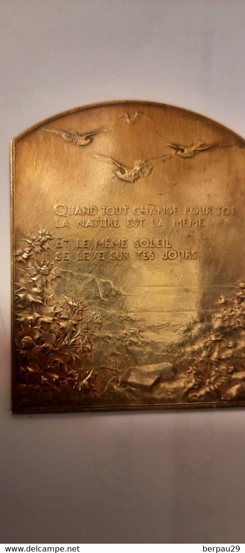 PLAQUE BRONZE Doré  - " Quand Tout Change Autour De Toi , La Nature Est La Meme ....) ( Graveur Dupré ) - Altri & Non Classificati