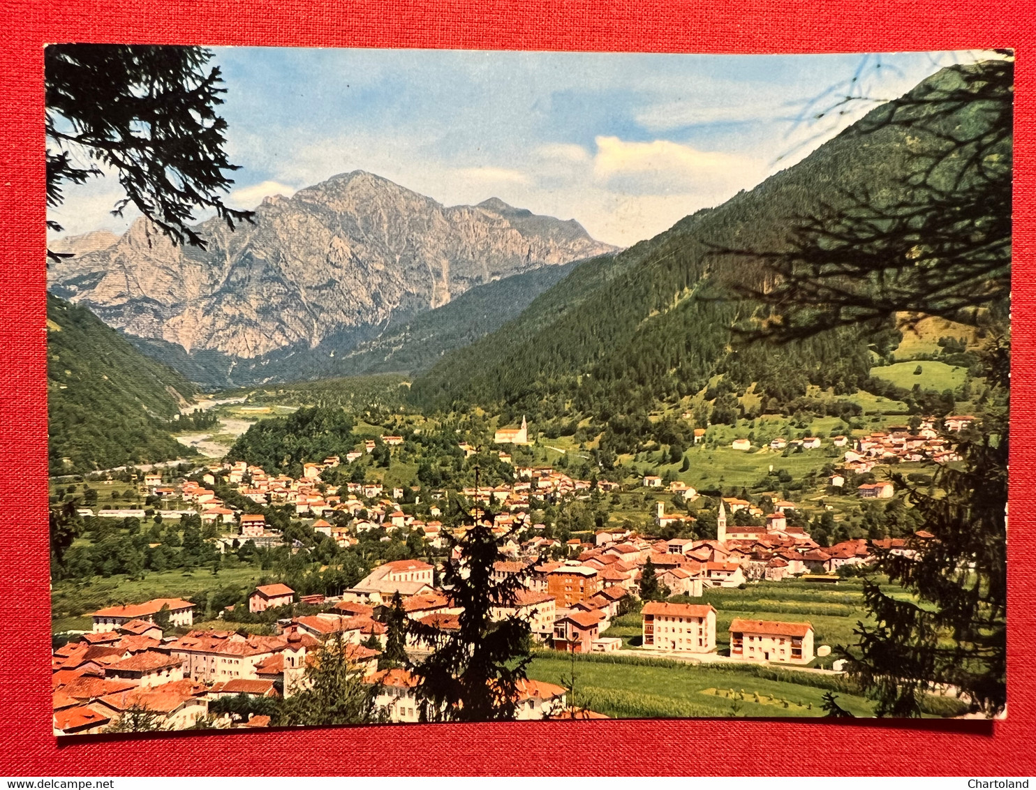 Cartolina - Paluzza ( Udine ) - Panorama - 1971 - Udine