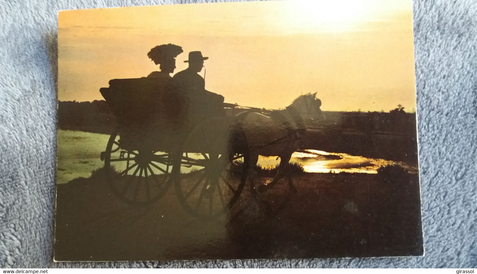 CPSM CHEVAL CHEVAUX STES MARIES DE LA MER 13 RETOUR AU MAS CAMARGUAIS AU COUCHER DU SOLEIL ATTELAGE CAMARGUE ED SL - Bull