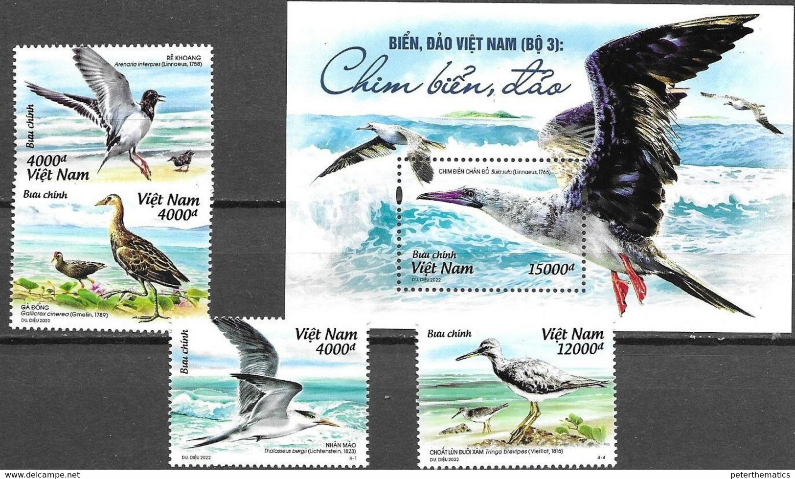 VIETNAM, 2022, MNH, BIRDS, SEABIRDS, 4v+S/SHEET - Altri & Non Classificati