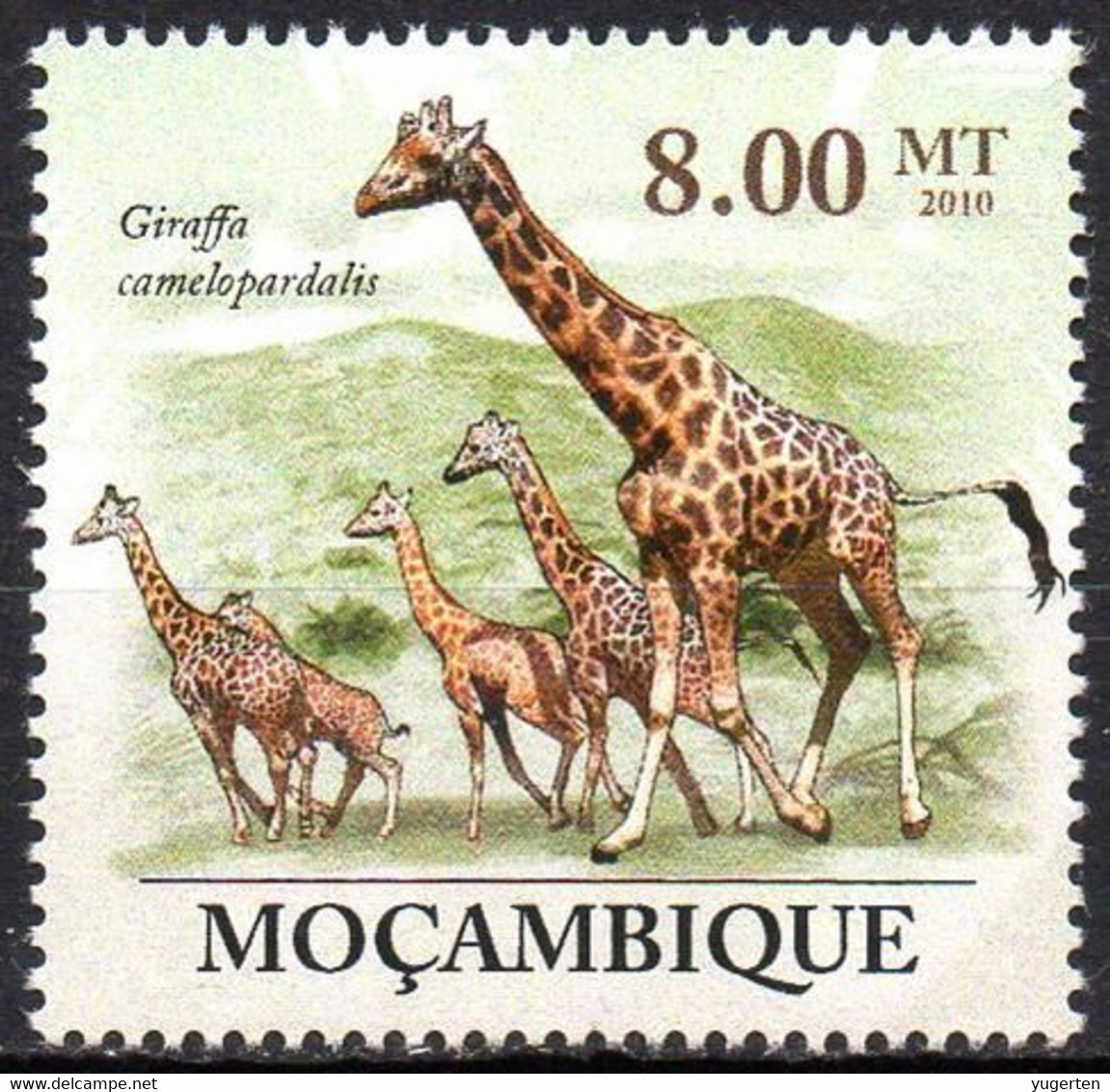 MOZAMBIQUE - 1v - MNH - Giraffes Giraffe Girafes Giraffen Girafe Giraffe Jirafa Jirafas - Mammals - Fauna Animals - Giraffen