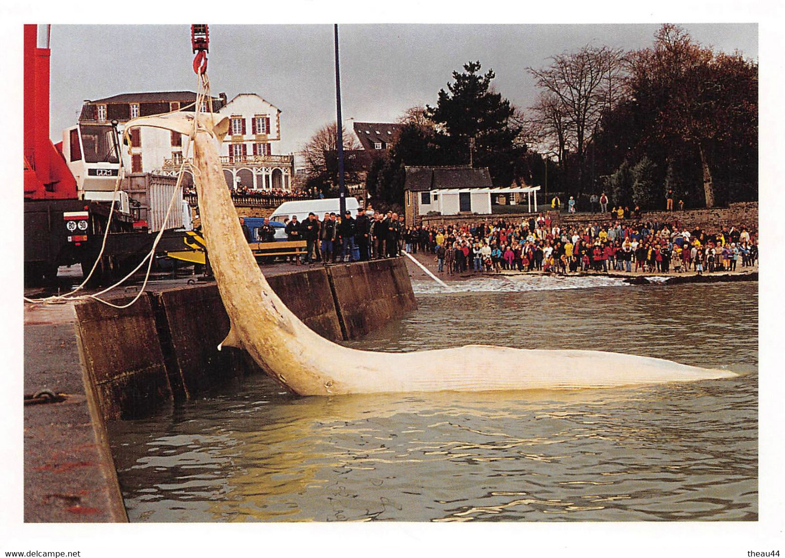 BEGMEIL  -  Enlèvement D'une Baleine échouée  -  Tirage Limité à 400 Ex   - - Beg Meil