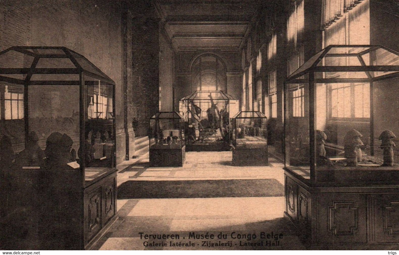 Tervueren (Musée Du Congo Belge) - Galerie Latérale - Tervuren