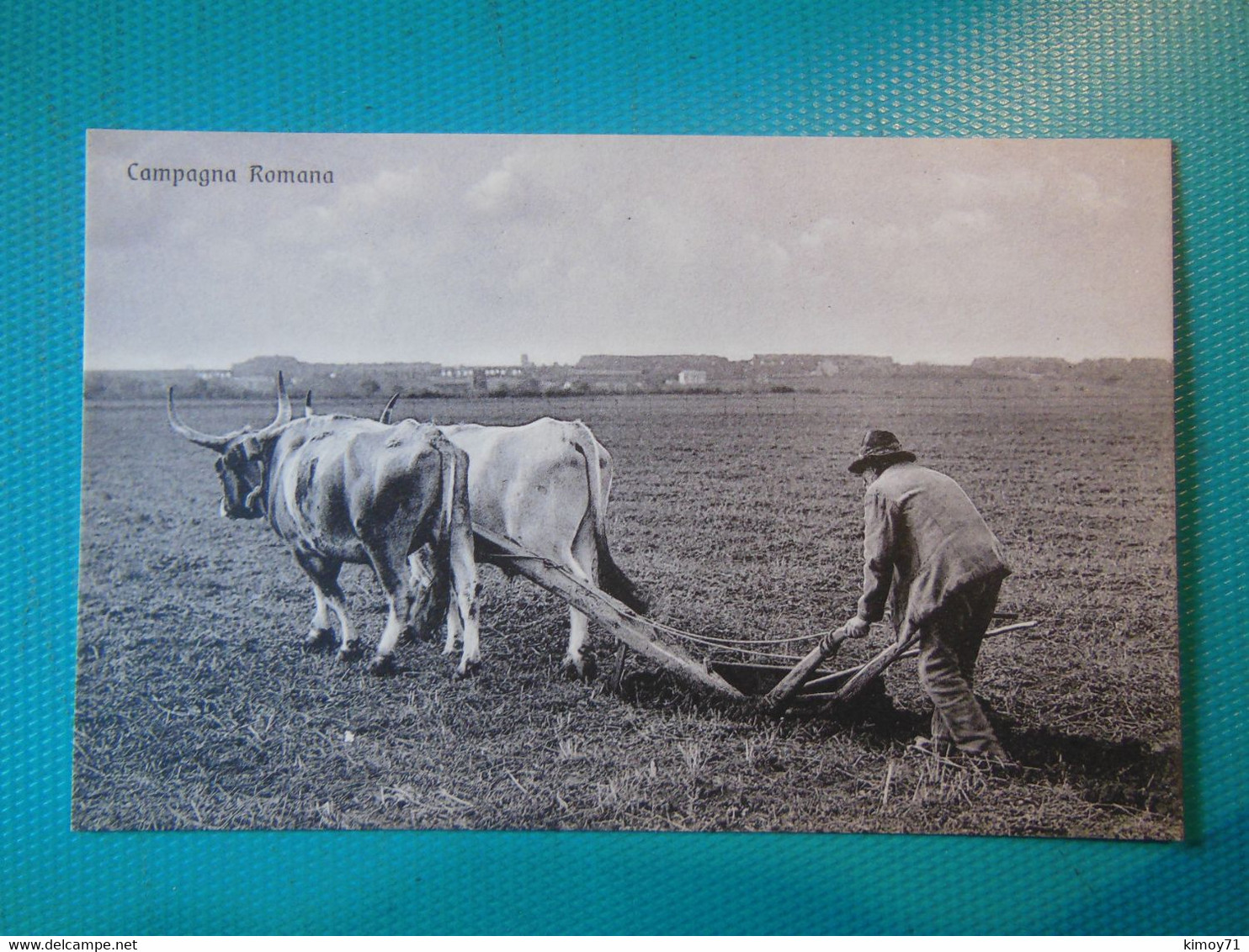 Cartolina Campagna Romana. Non Viaggiata - Parken & Tuinen