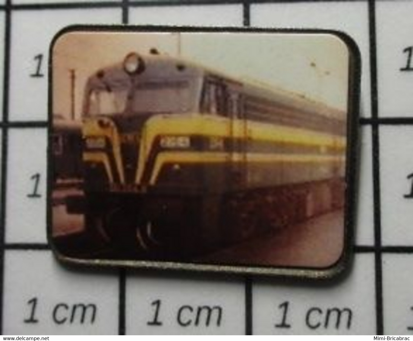 510b Pin's Pins / Beau Et Rare / TRANSPORTS / LOCOMOTIVE A IDENTIFIER PHOTO COULEUR - Transports