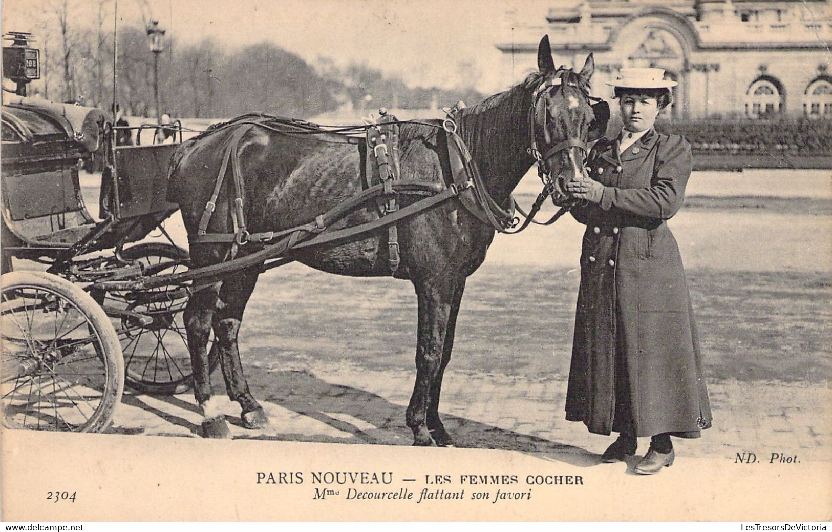 CPA - METIERS - PARIS NOUVEAU - LES FEMMES COCHER - Mme Decourcelle Flattant Son Favori - ND Phot - 2304 - Autres & Non Classés