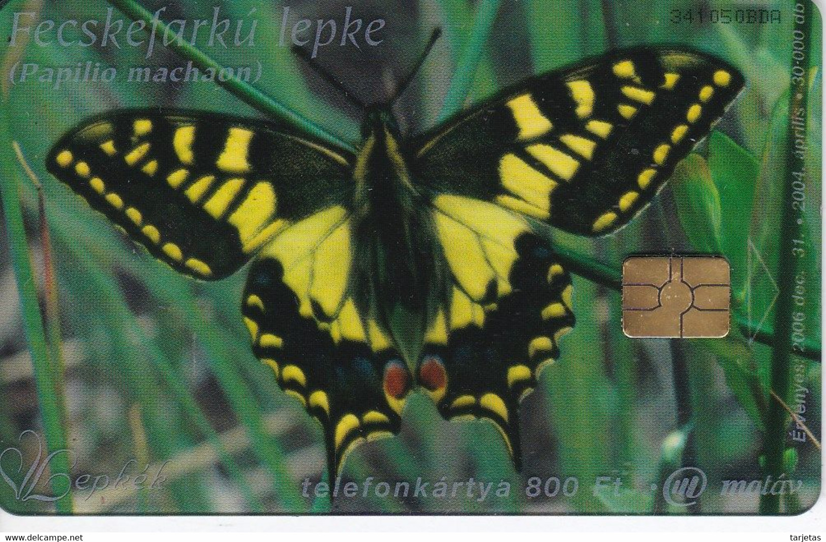 TARJETA DE HUNGRIA DE UNA MARIPOSA (BUTTERFLY) TIRADA 30000 - Butterflies