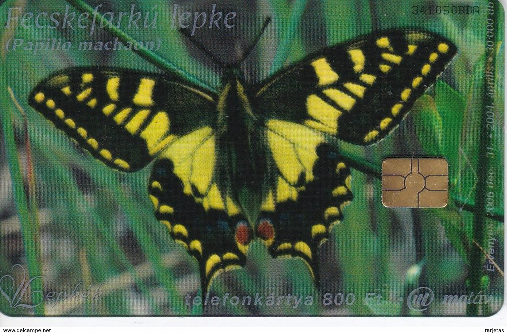 TARJETA DE HUNGRIA DE UNA MARIPOSA (BUTTERFLY) TIRADA 30000 - Vlinders