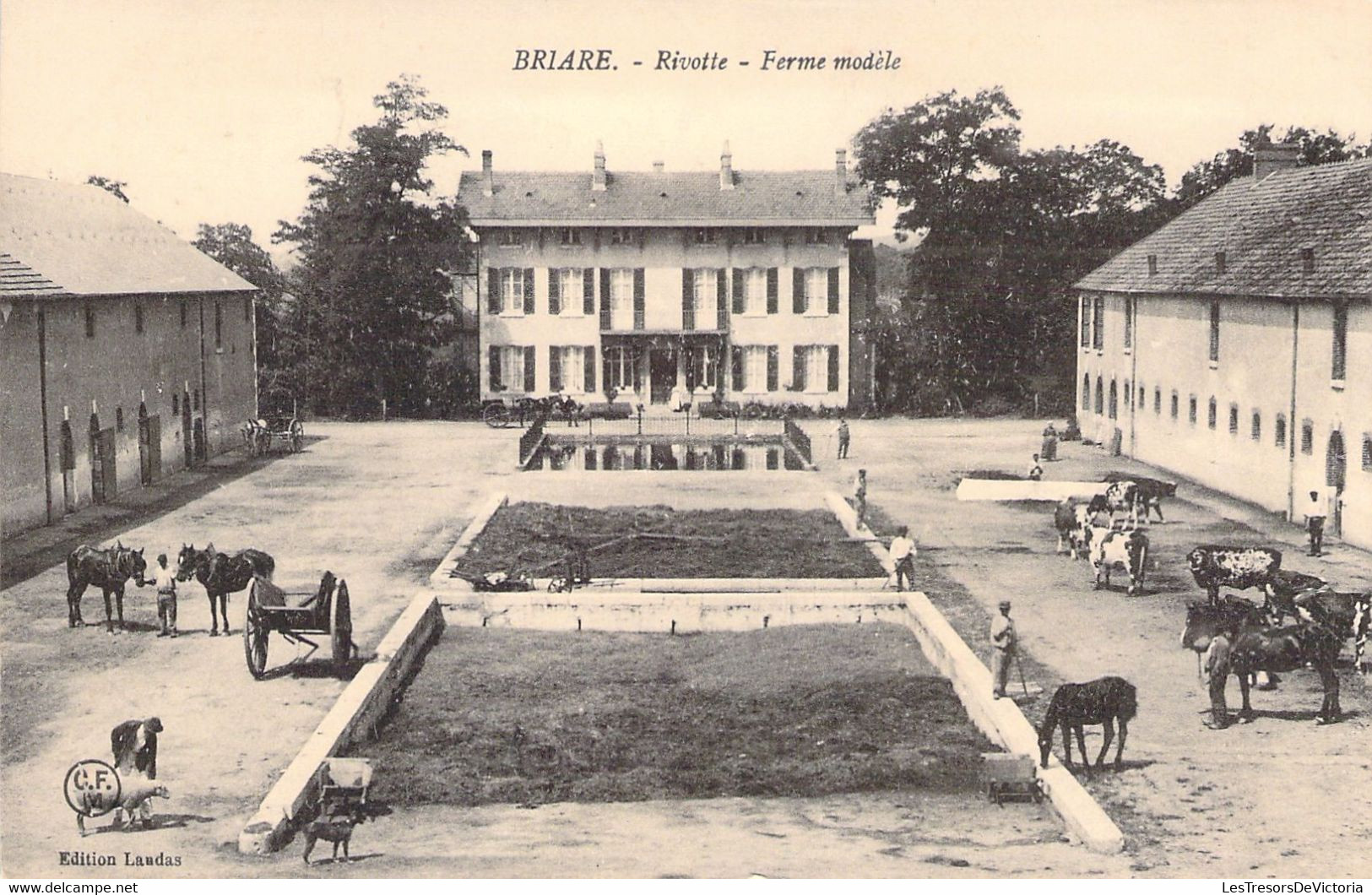 CPA - FRANCE - 45 - BRIARE - Rivotte - Ferme Modèle - Agriculture - Eleveur - Briare