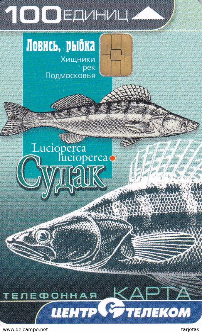 TARJETA DE RUSIA DE UNOS PECES (PEZ-FISH) - Pesci