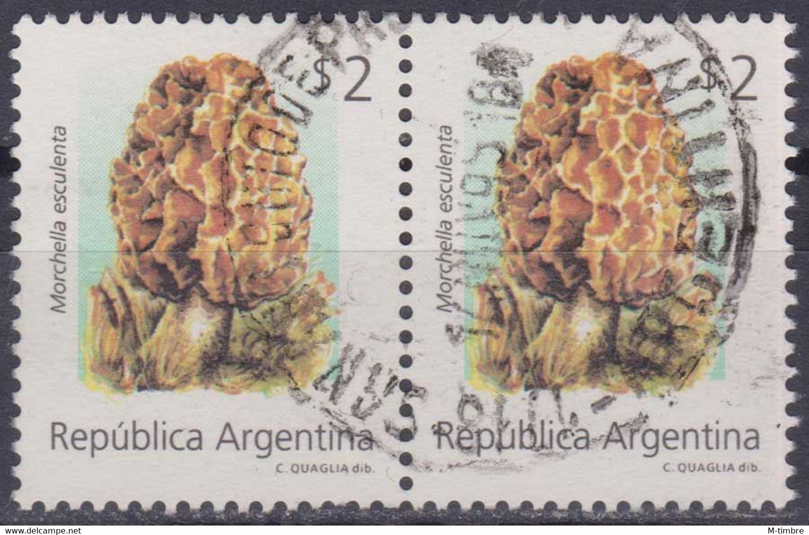 Argentine YT 1840 Mi 2208 Année 1994 (Used °) Champignons - Mushrooms - Gebraucht