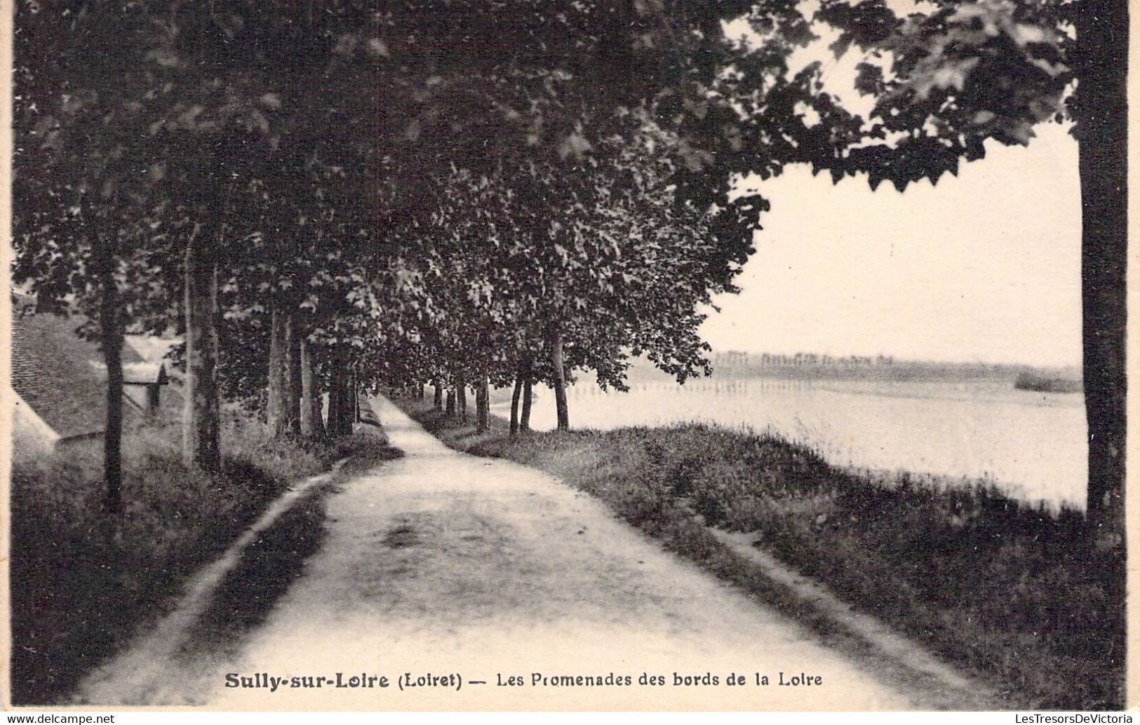 CPA - FRANCE - 45 - Sully Sur Loire - Les Promenades Des Bords De La Loire - Edition LENORMAND - Sully Sur Loire