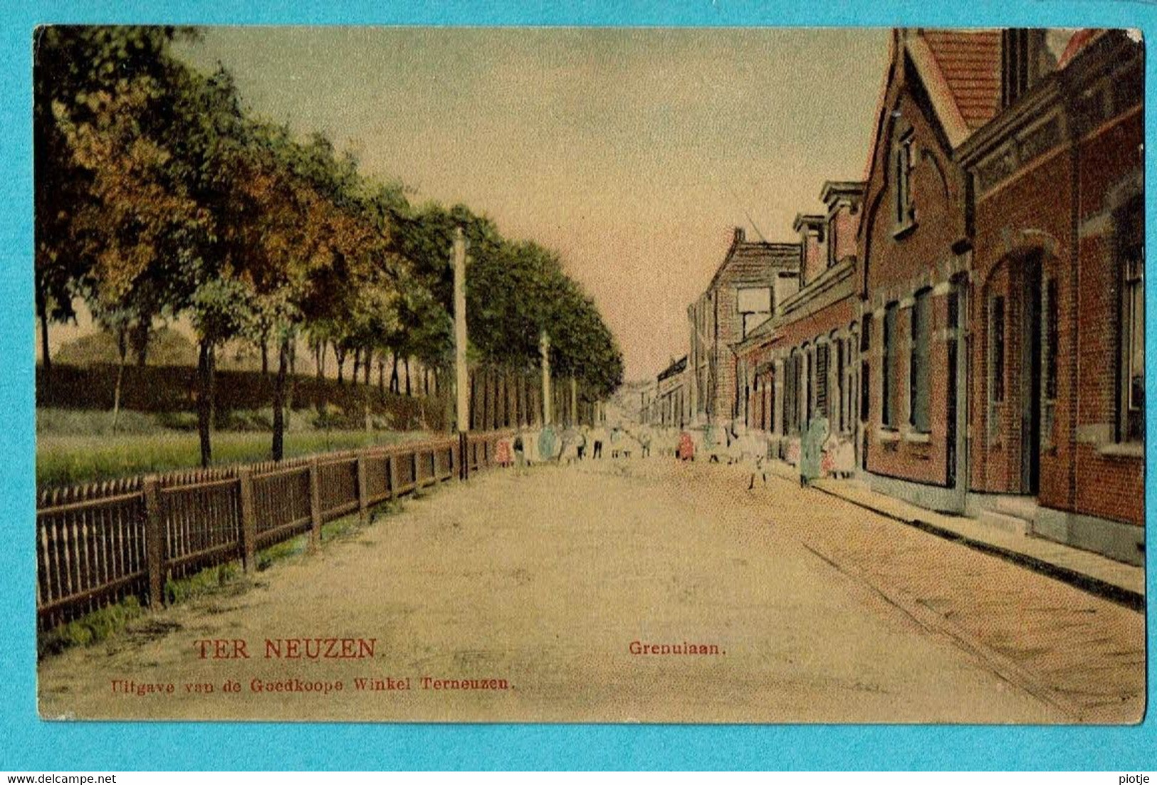 * Terneuzen (Zeeland - Nederland) * (Uitgave Van De Goedkoope Winkel - Tulp) Grenulaan, Kleur, Animée, TOP, Zeldzaam - Terneuzen