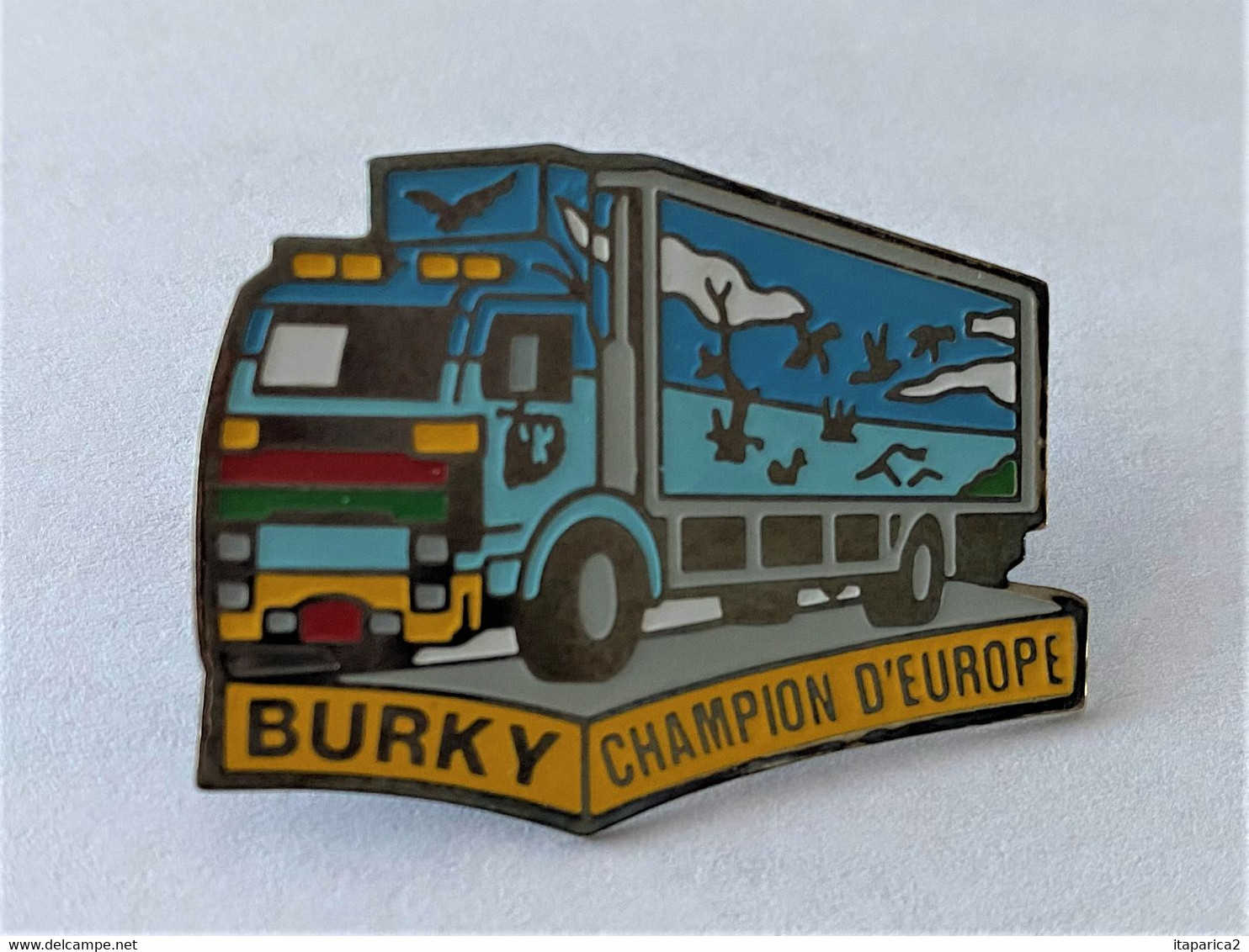 PINS Transport  CAMION BURKY Champion D' Europe  / 33NAT - Transports