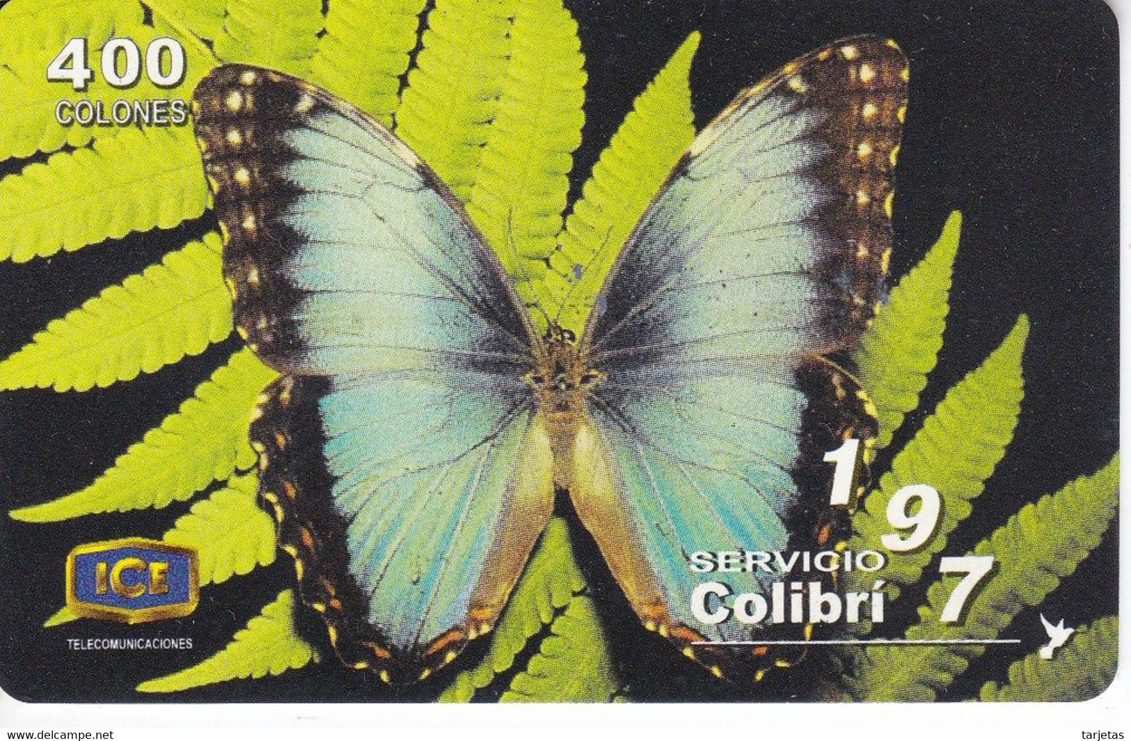 TARJETA DE COSTA RICA DE UNA MARIPOSA (BUTTERFLY) NUEVA-MINT - Butterflies