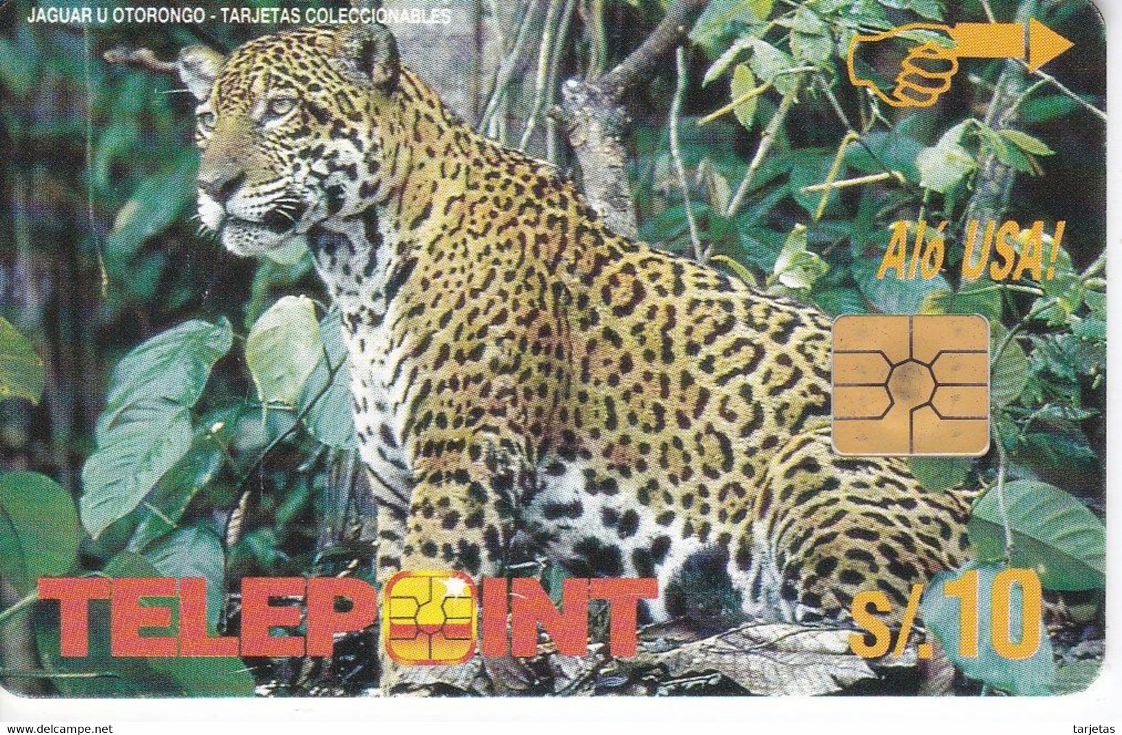 TARJETA DE PERU DE UN JAGUAR (PANTHER) - Pérou