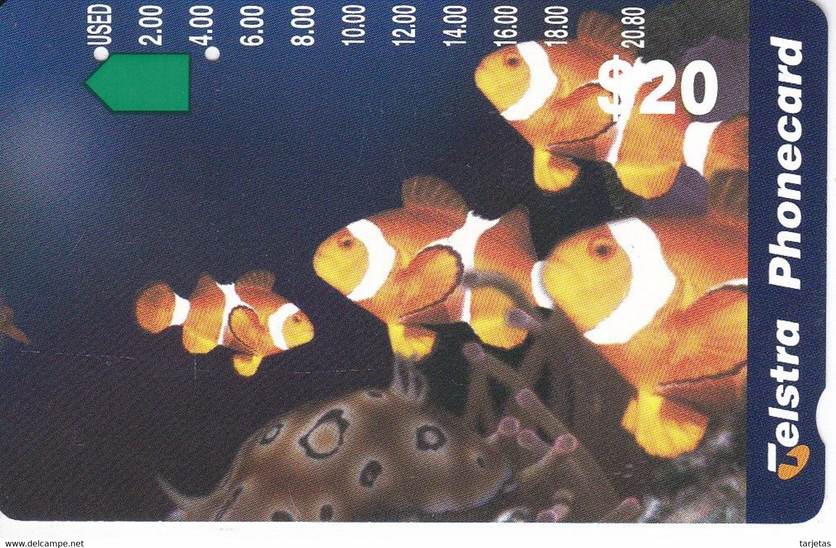 TARJETA DE AUSTRALIA DE UNOS PECES PAYASO (FISH-PECES-PEZ) - Fish