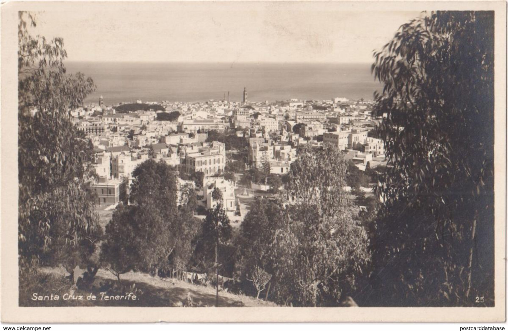 Santa Cruz De Tenerife - Tenerife