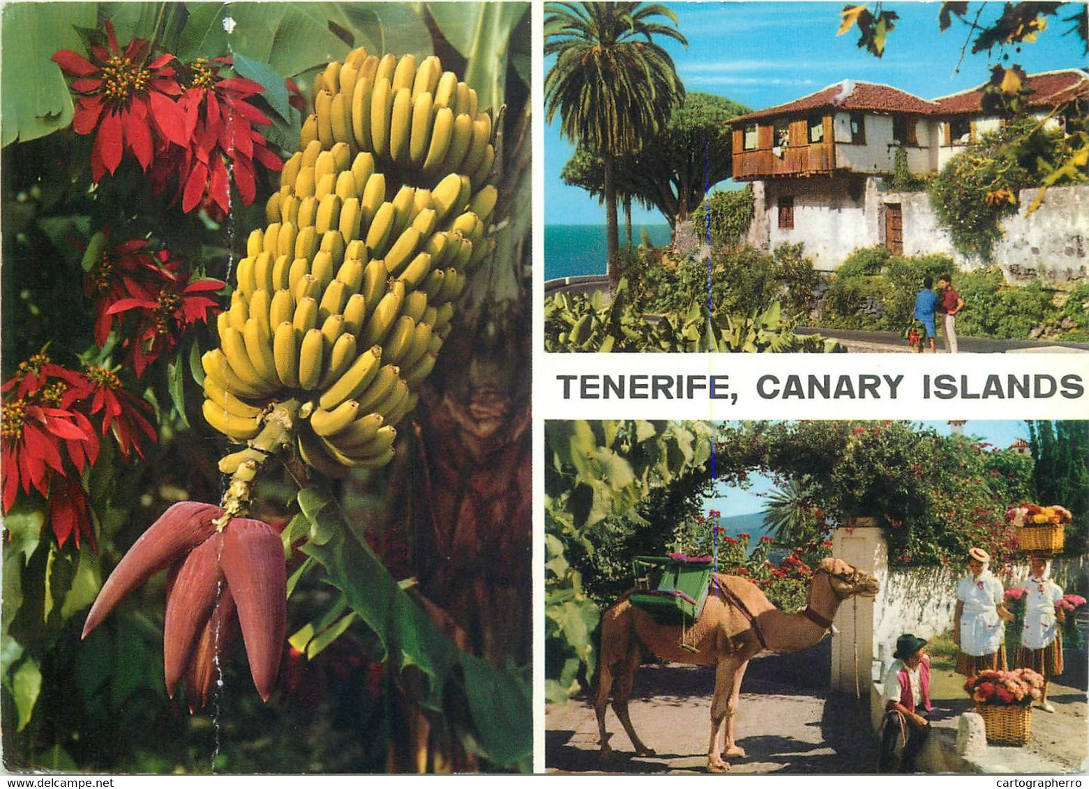 Souvenir Postcard Spain Tenerife Canary Islands Multi View - Tenerife