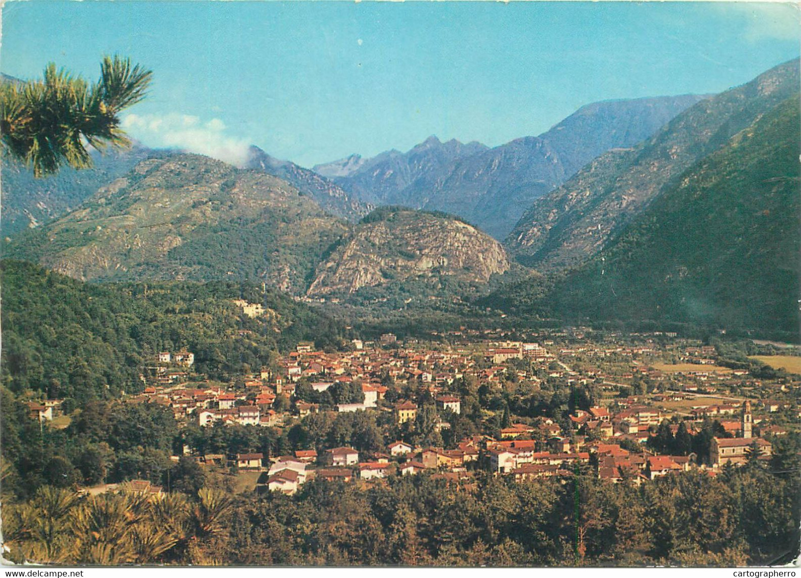 Postcard Switzerland Losone General View - Losone