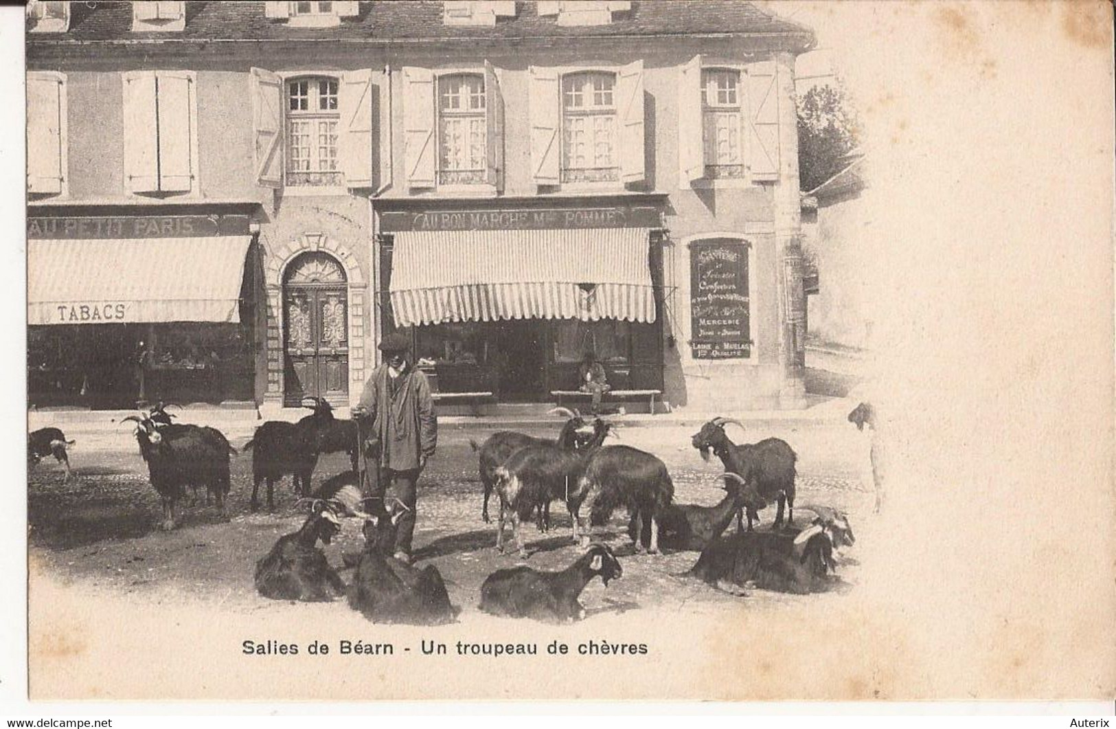 64 Salies De Bearn Un Troupeau De Chèvres Au Petit Paris Au Bon Marché Pomme  Chevres Goat - Salies De Bearn