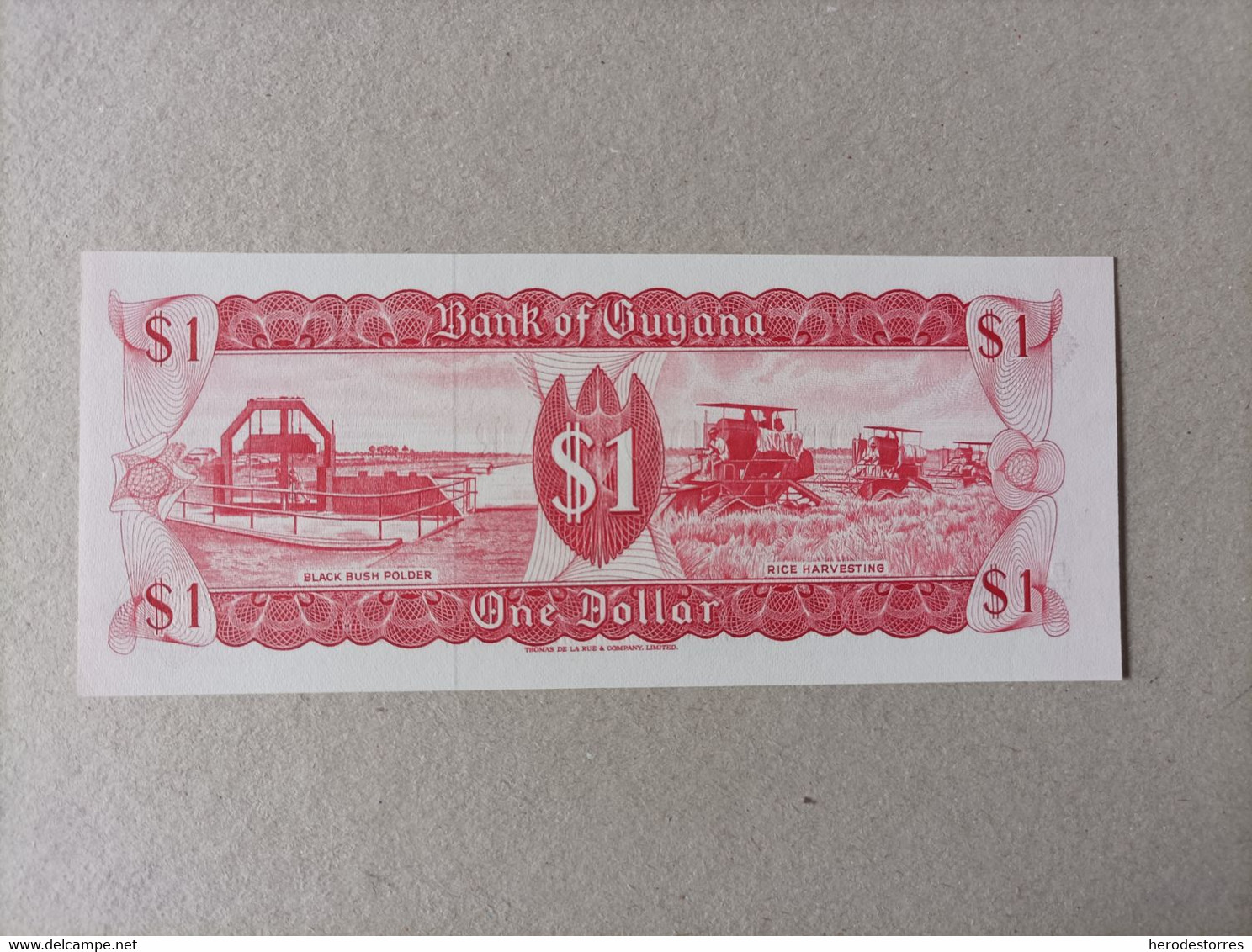 Billete De Guyana De 1 Dolar, Uncirculated - Guyana