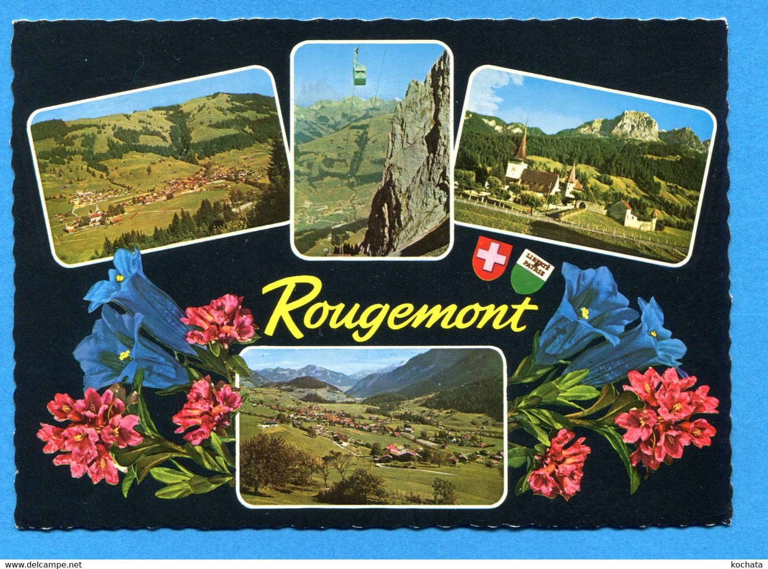 TW102, Rougemont, Gentiane, Fleur, Photoglob Wehrli, 3344, GF, Circulée 1968 - Rougemont