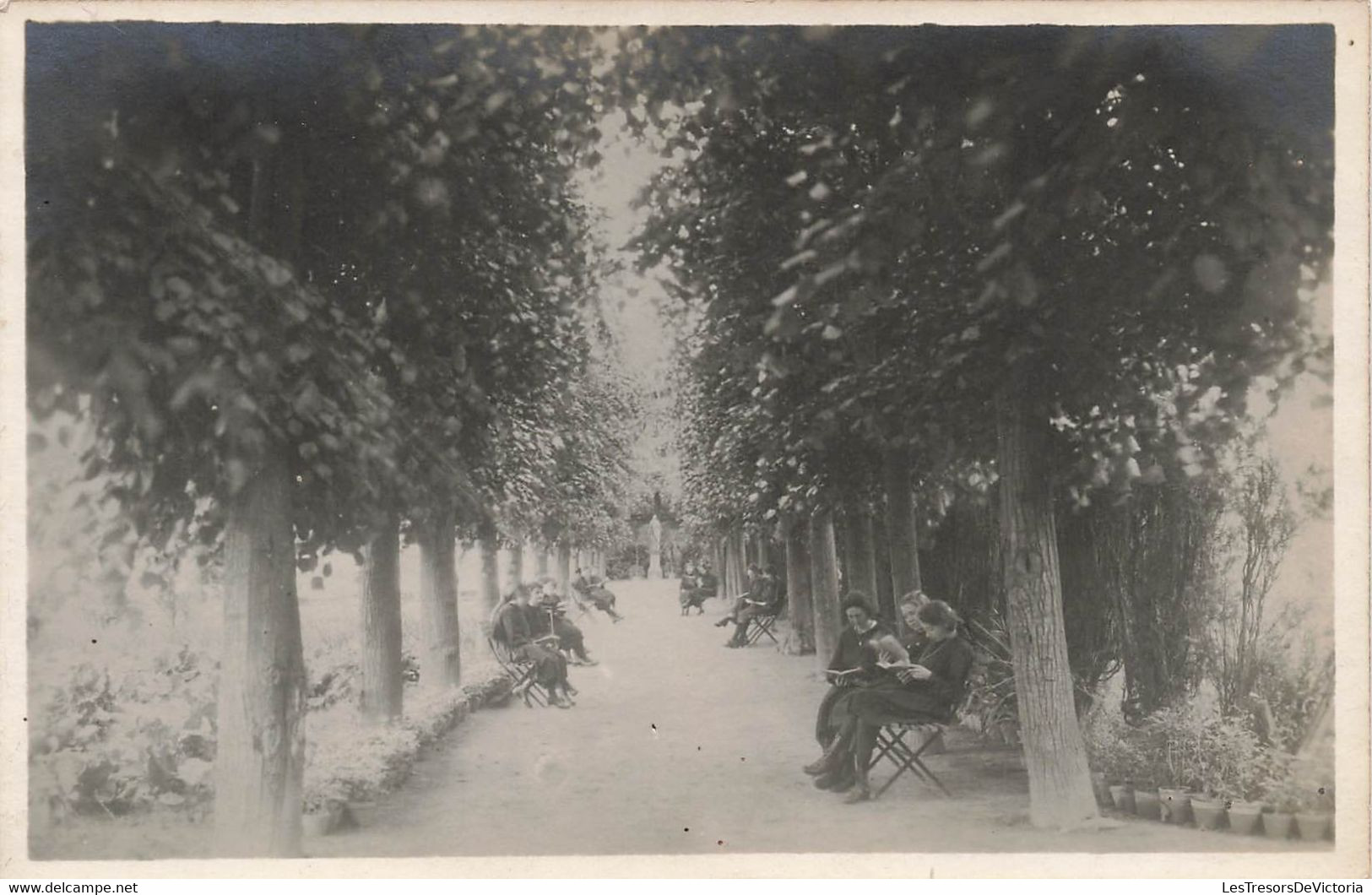 CPA Photographie - Allée Dans Un Parc - Personnes Sur Des Bancs En Train De Lire - Lieu à Identifier - Photographie