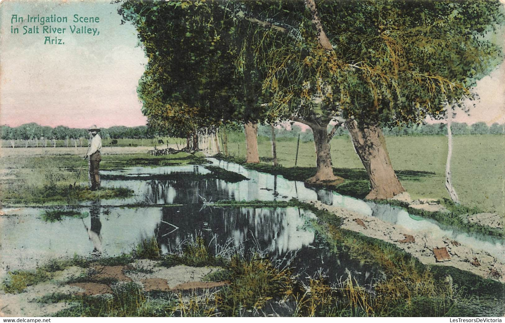 CPA Amérique - An Irrigation Scene In Salt River Valley - Arizona - Andere & Zonder Classificatie