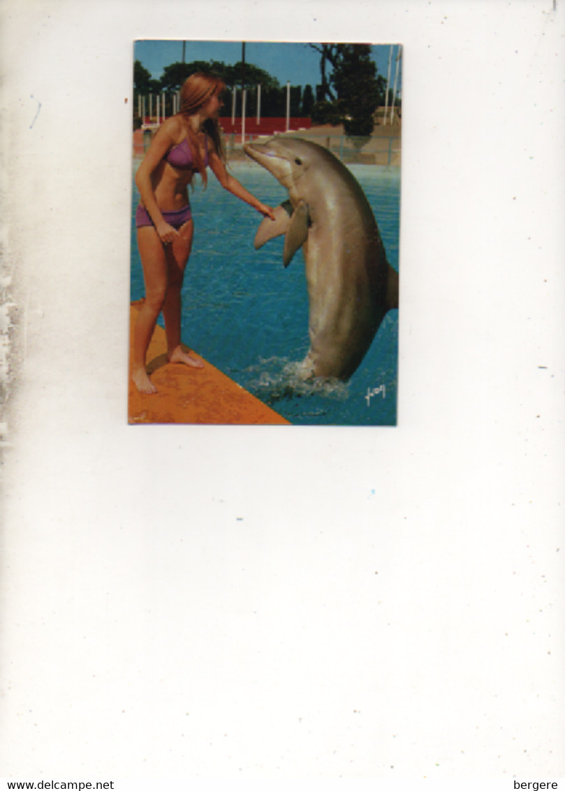 CP - DAUPHINS - Les Dauphins Du Marineland, Et Leur Jolie Soigneuse - 1987 - - Dauphins