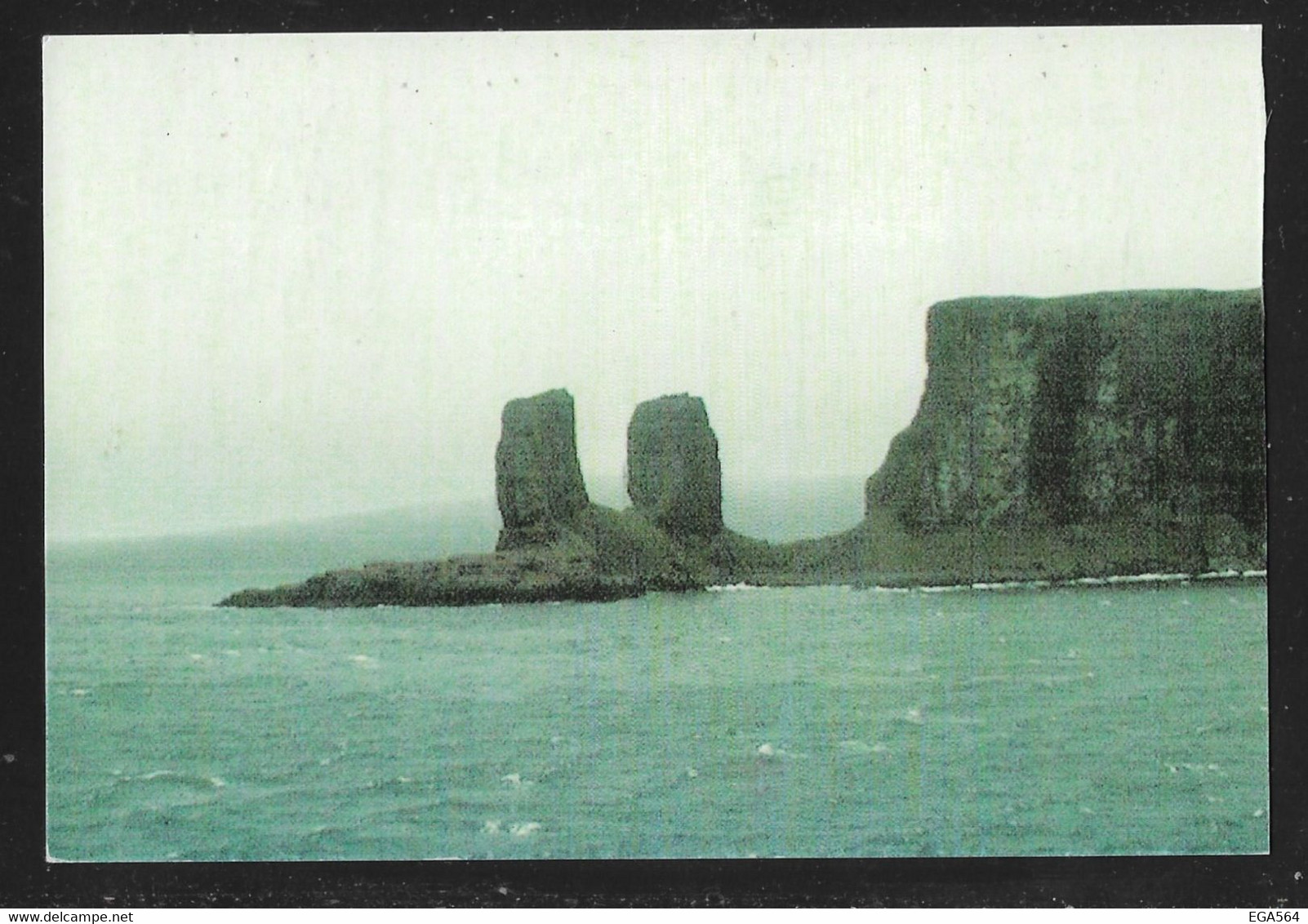 T -Y&T 786 787-910  - 6 Portraits D' Albatros Sur Verso De Carte Du 11.3.2021 Kerguelen. Pointe De L'Arche - Covers & Documents