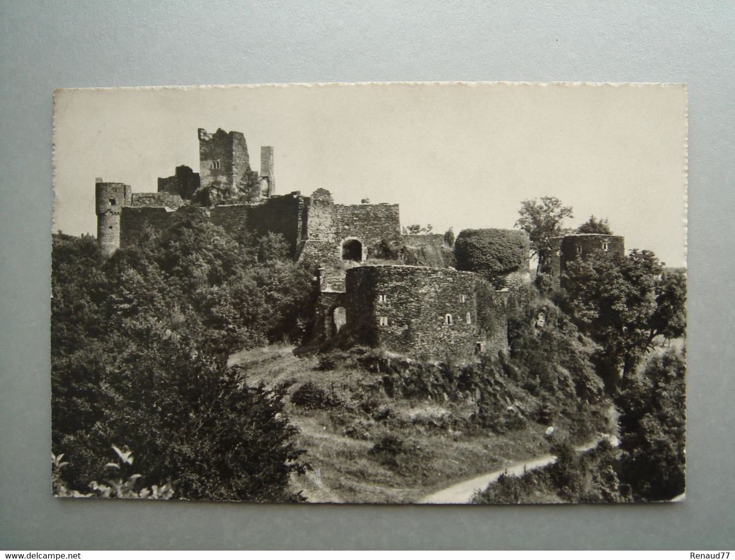 Bourscheid - Les Ruines Du Château - Bourscheid