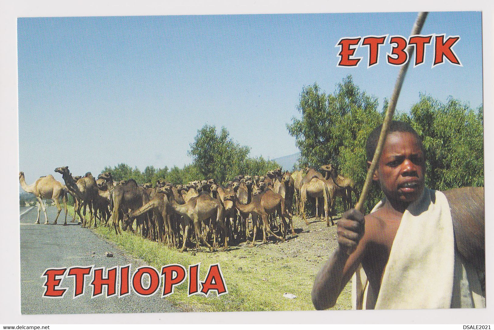Boy With Camels, Ethiopia 2004 HAM Radio QSL Card ET3TK To Bulgaria (48313) - Radio Amateur
