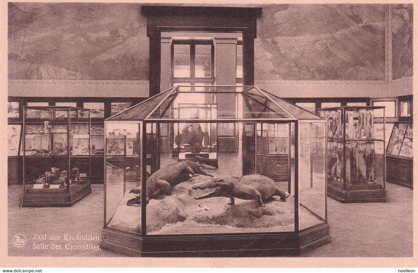 Tervueren - Musée Du Congo - Salle Des Crocodiles - Tervuren