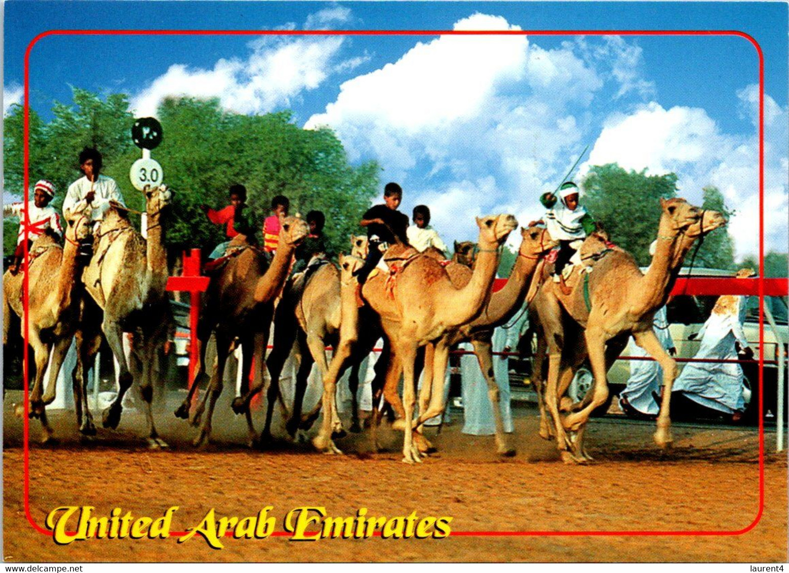 (4 M 18) Unitad Arab Emirates - Camel Race / Course De Chameaux / سباق الجمال - United Arab Emirates