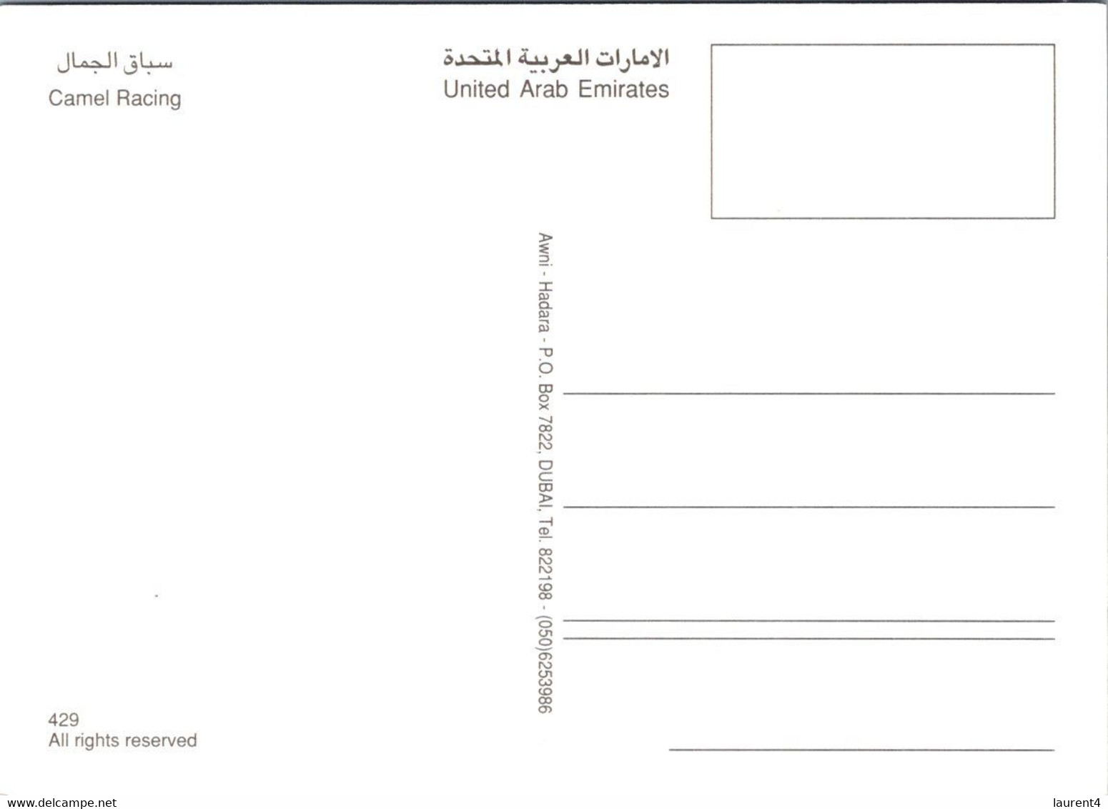 (4 M 18) Unitad Arab Emirates - Camel Race / Course De Chameaux / سباق الجمال - Ver. Arab. Emirate