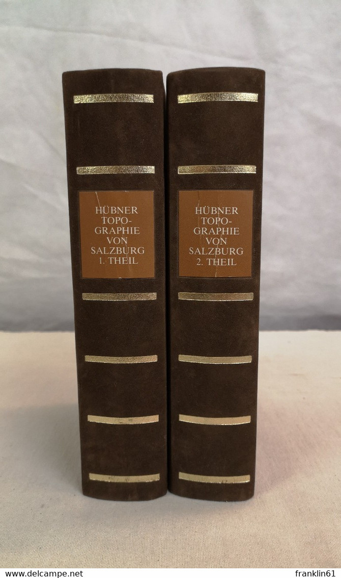 Beschreibung Des Erzstiftes Und Reichsfüstenthums Salzburg In Hinsicht Auf Topographie Und Statistik. - 4. Neuzeit (1789-1914)