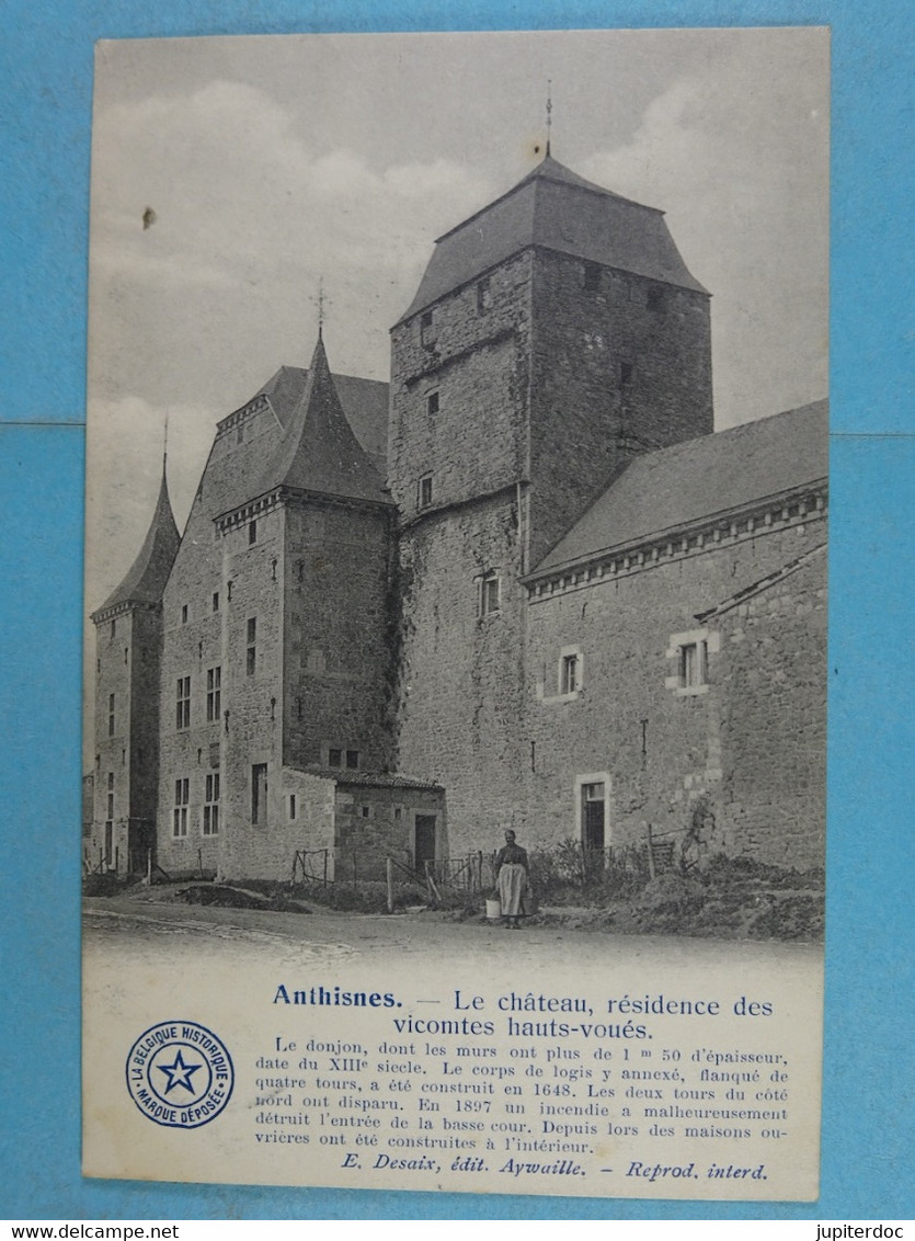 Anthisnes Le Château, Résidence Des Vicomtes Hauts-voués - Anthisnes