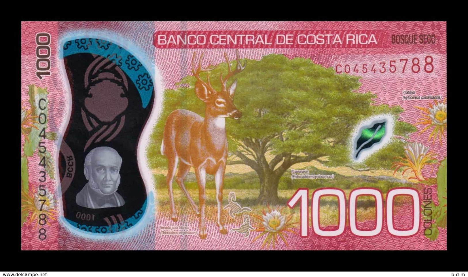 Costa Rica 1000 Colones 2019 (2021) Pick New Polymer SC UNC - Costa Rica