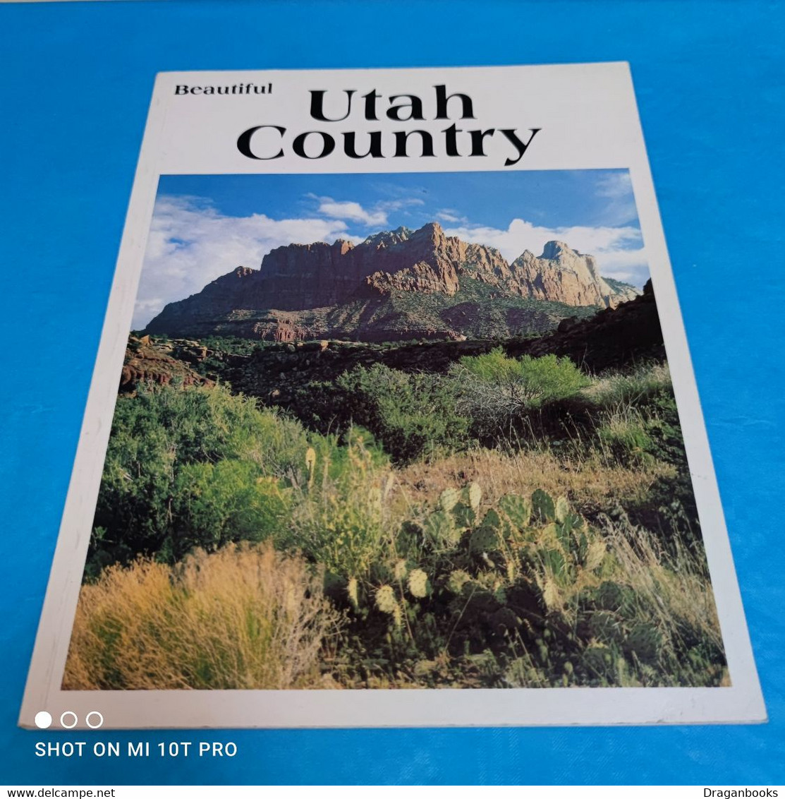 Paul M. Lewis - Beautiful Utah Country - América