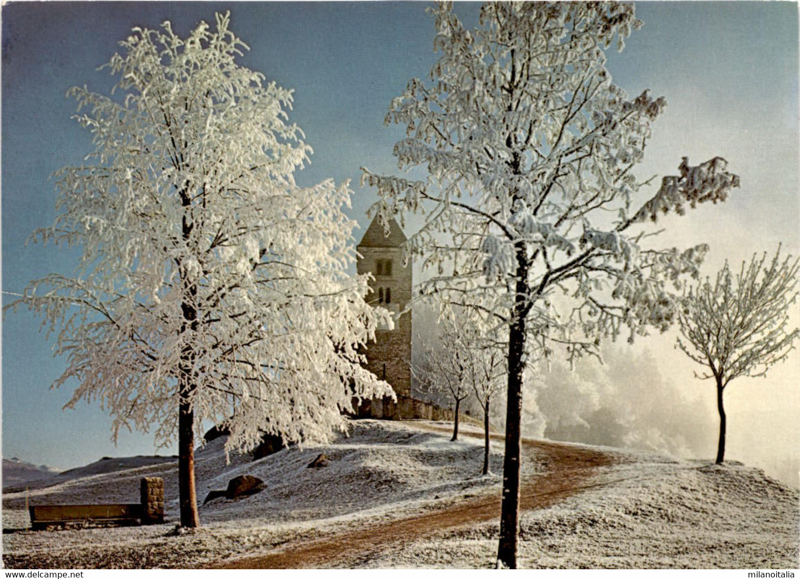 Falera - Rauhreif Bei Der Alten Kirche "Sogn Remigius" (5588) * 17. 2. 1983 - Falera