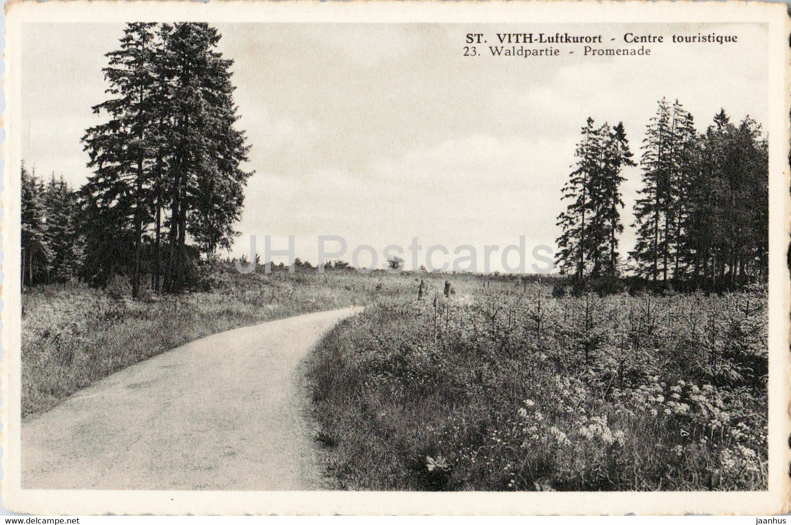 St Vith Luftkurort - Centre Touristique - Waldpartie - Promenade - 23 - Old Postcard - Belgium - Unused - Sankt Vith