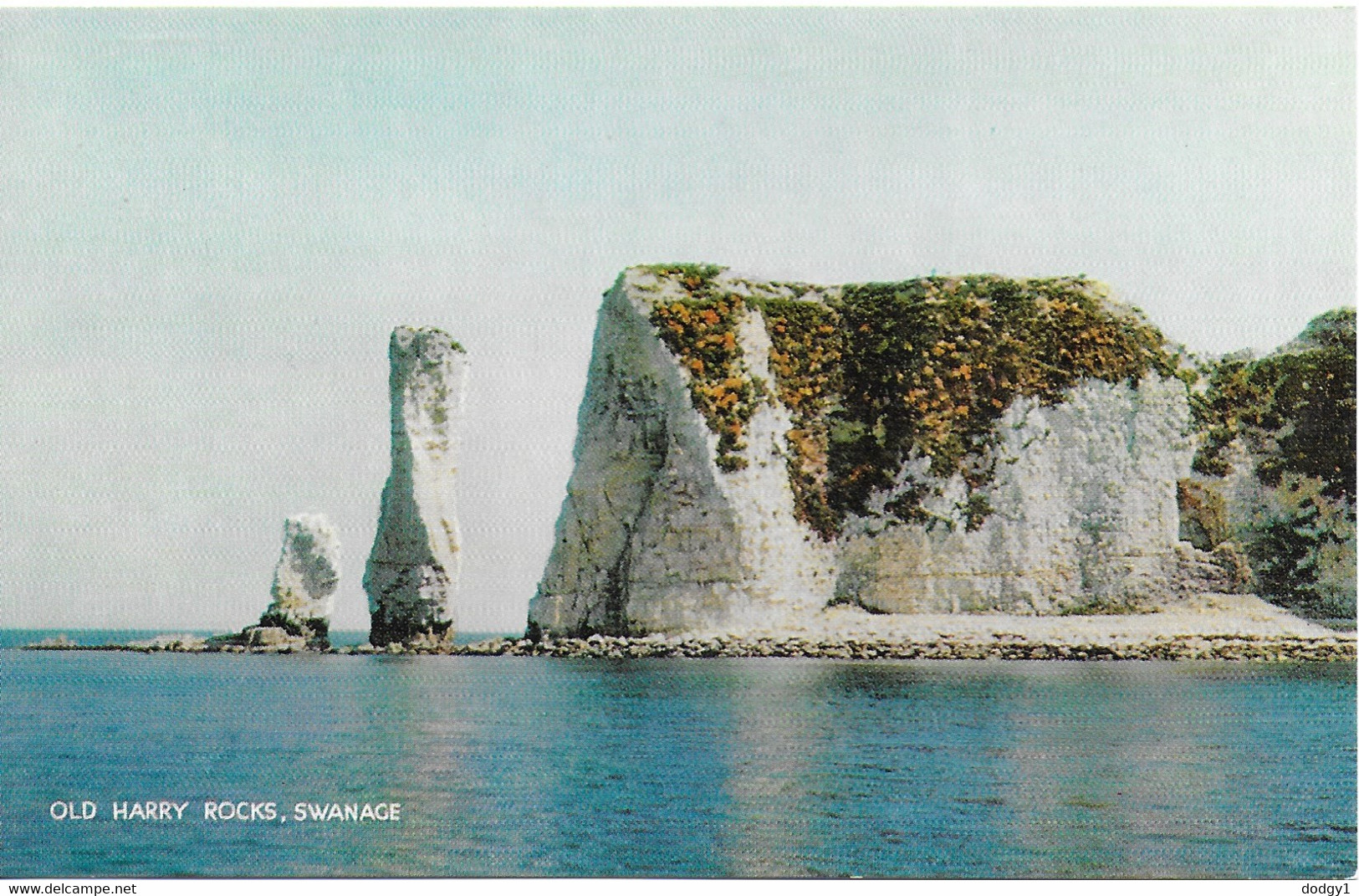 OLD HARRY ROCKS, SWANAGE, DORSET, ENGLAND. UNUSED POSTCARD   Ty6 - Swanage